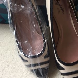 Seychelles Black and White Flats.